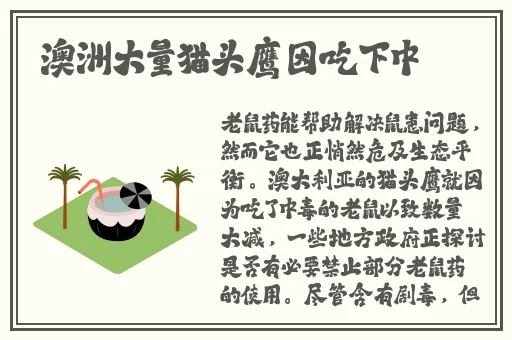 日本多**老太